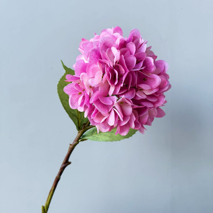 Floral Decorative