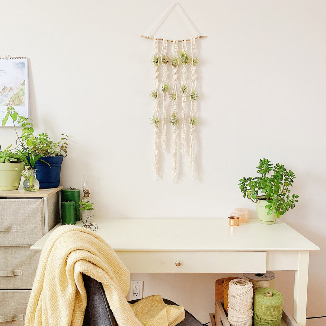 Macrame Plant Wall Hanging Organizer Kalsten