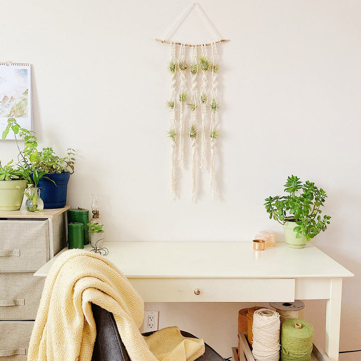 Macrame Plant Wall Hanging Organizer Kalsten