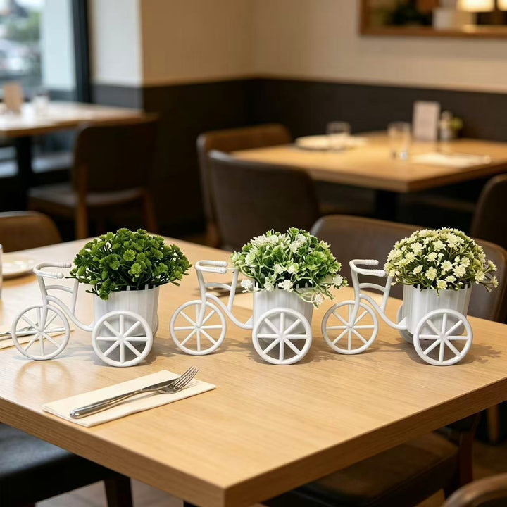 Decorative Bicycle-Shaped Planter for Indoor Home Decor