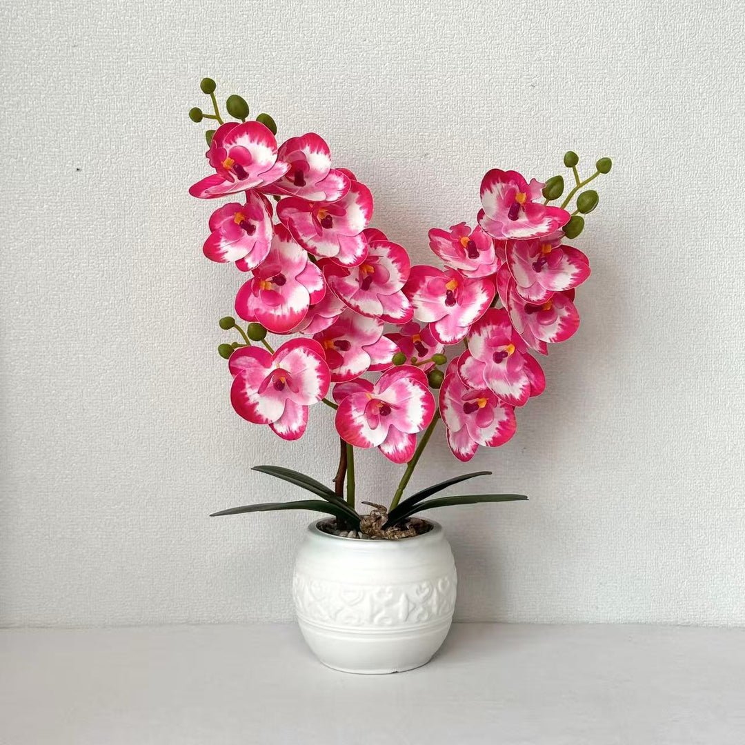 Decorative Orchid for Tabletop Home Decor