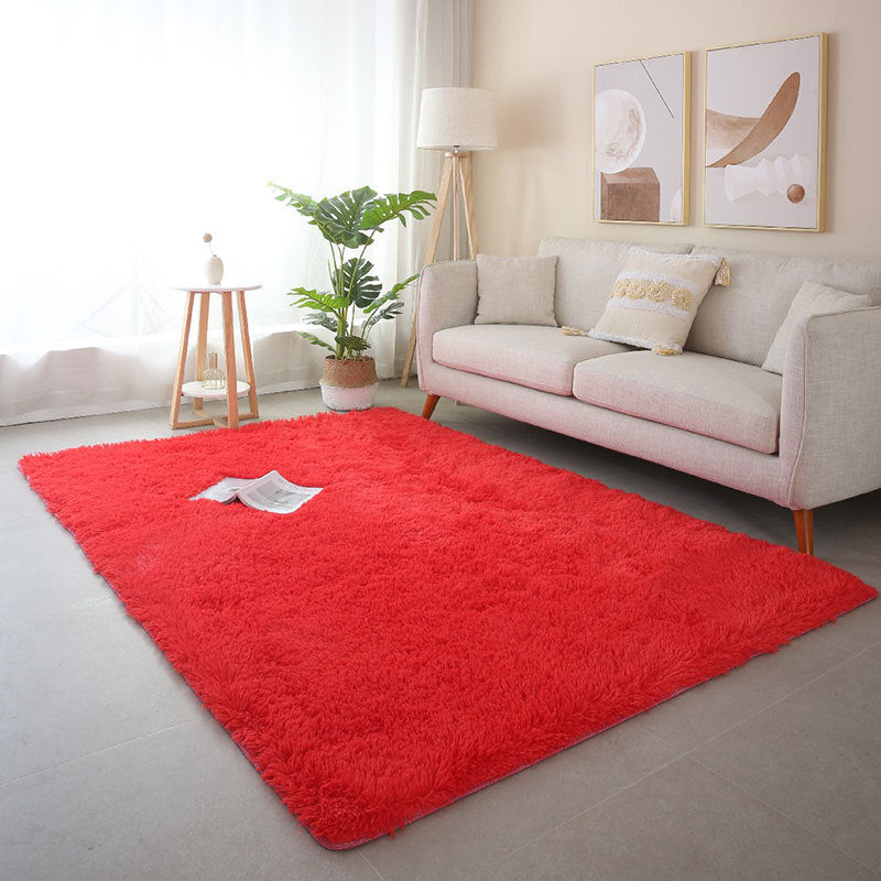Luxurious Plush Area Rug Kalsten