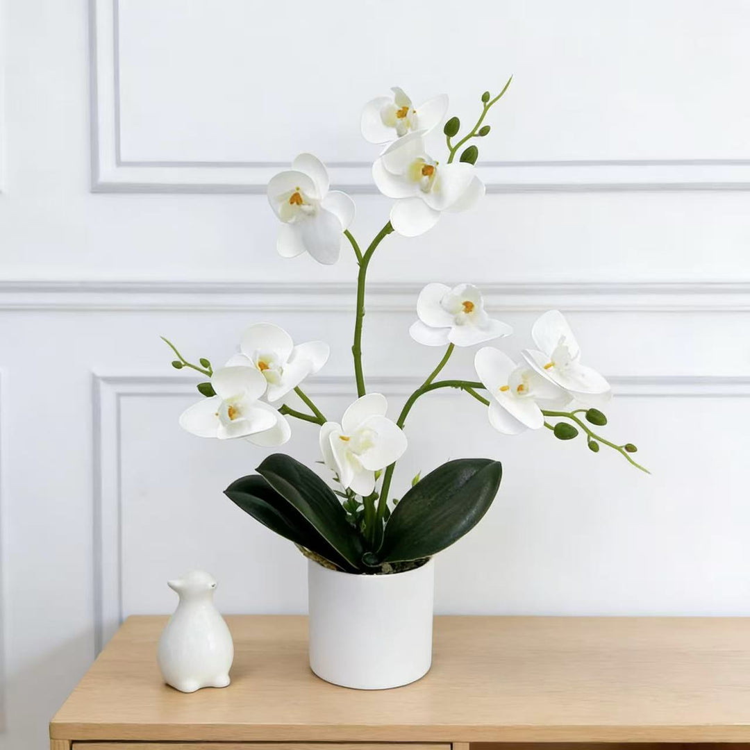 Decorative Orchid for Home Decor Display