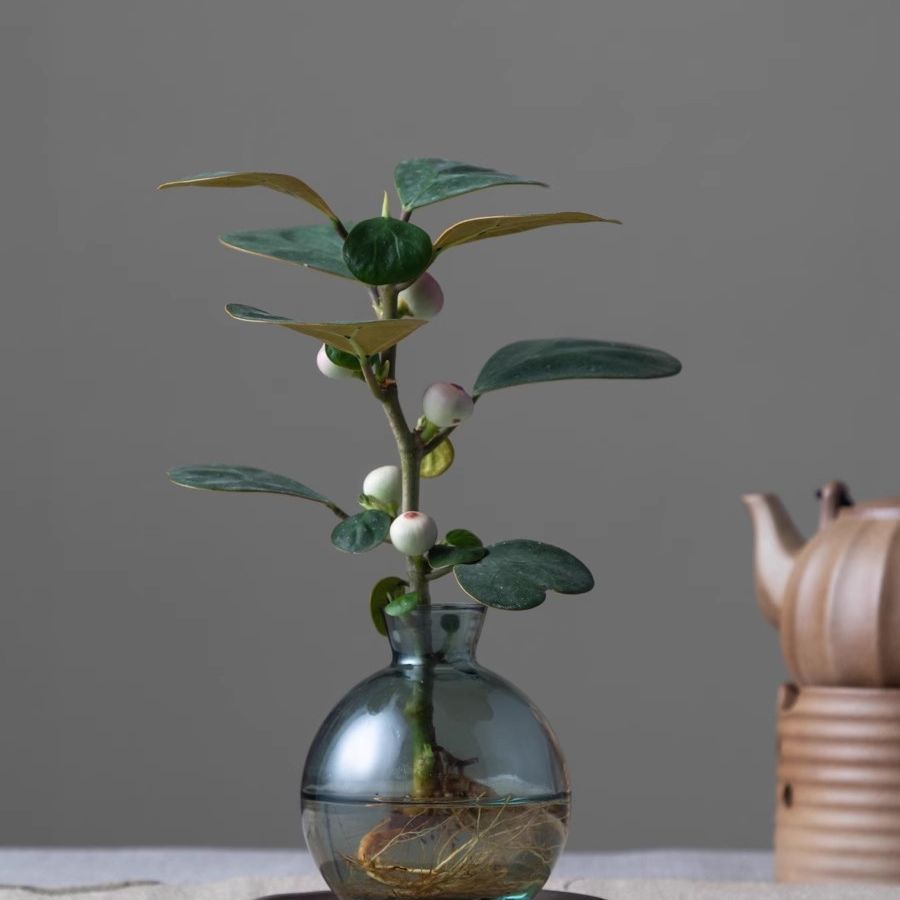 Modern Glass Vase with Artificial Plant