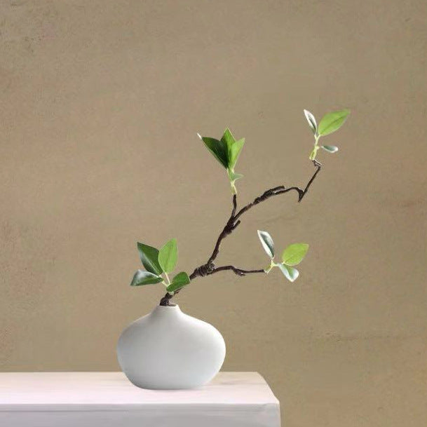 Minimalist Decorative Plant Arrangement