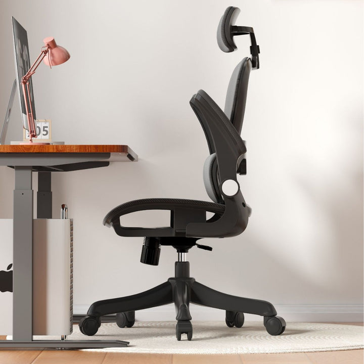 Ergonomic Office Chair Kalsten