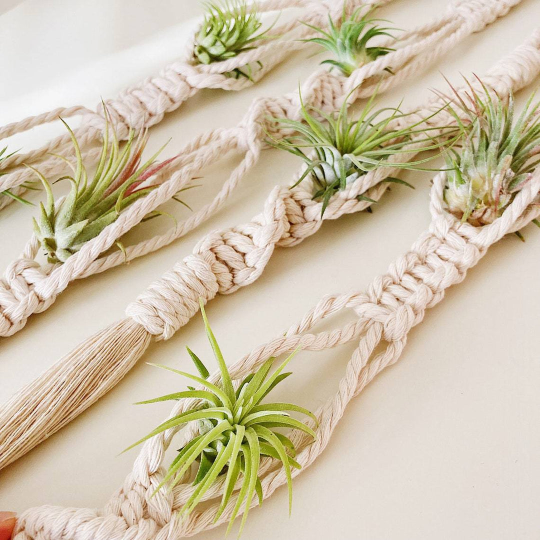 Elegant Macrame Plant Wall Hanging Kalsten