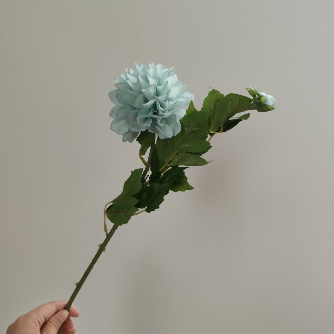 Realistic Dahlia Flower Stem