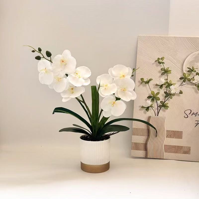 Orchid Floral Pot Arrangement