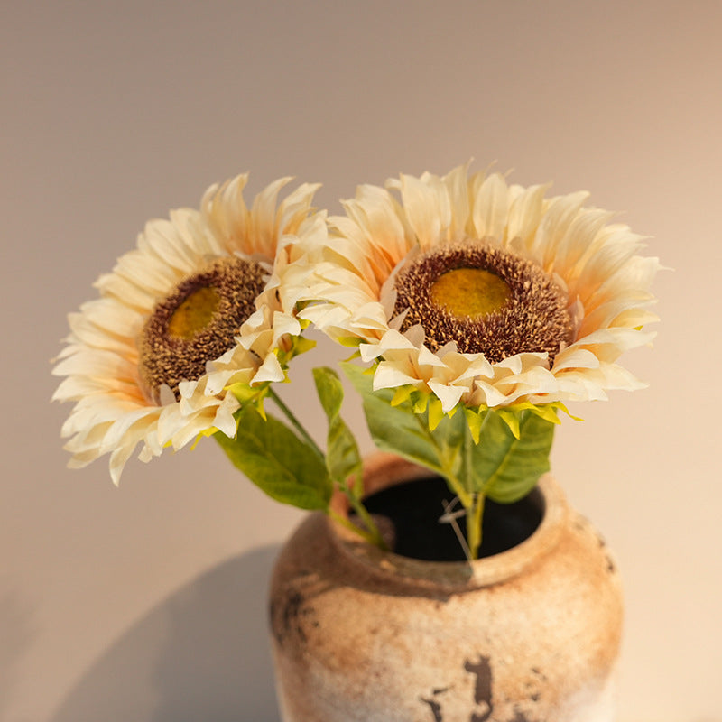 Decorative Plant Kalsten