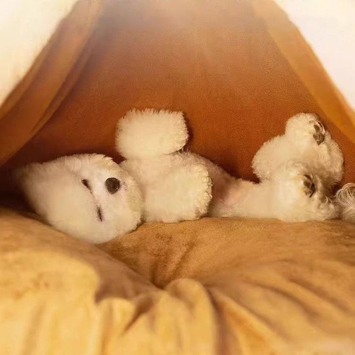 Cozy  Tent   Dog Bed