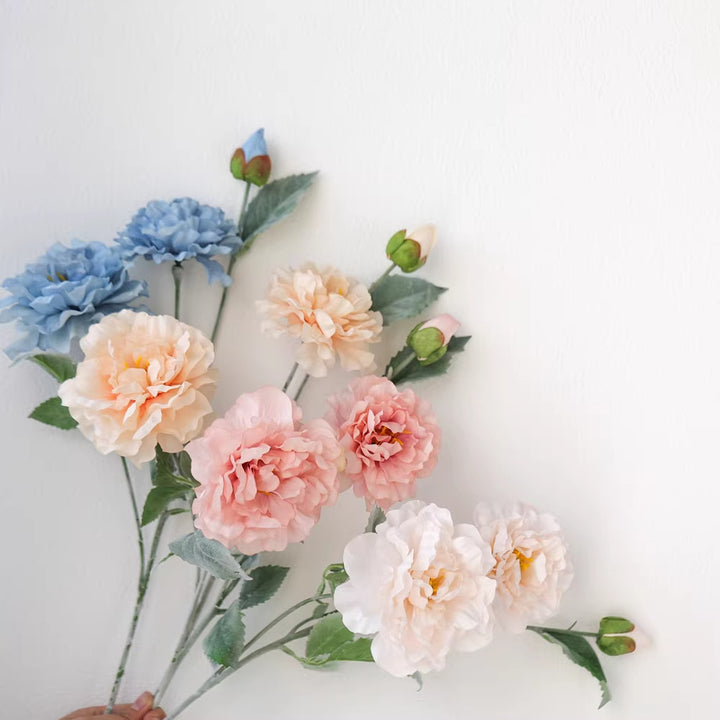 Realistic Peony Flower Stem