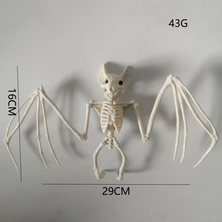 Anatomical teaching skeleton