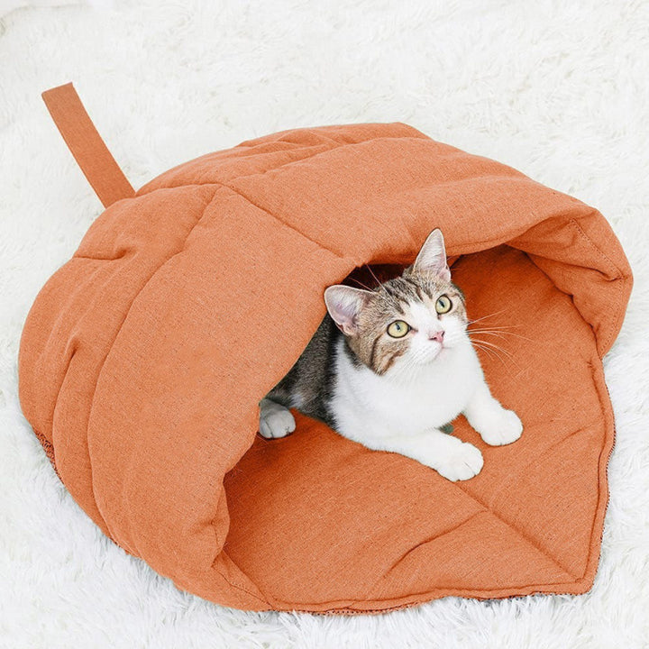 Cozy cat cave Kalsten