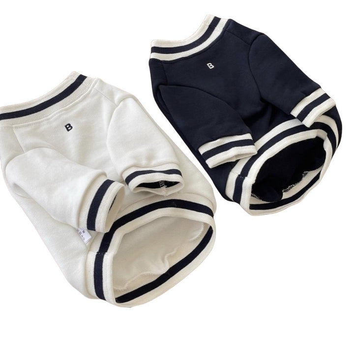 Pet Knit Polo Sweater with Ribbed Collar and Embroidered Chest