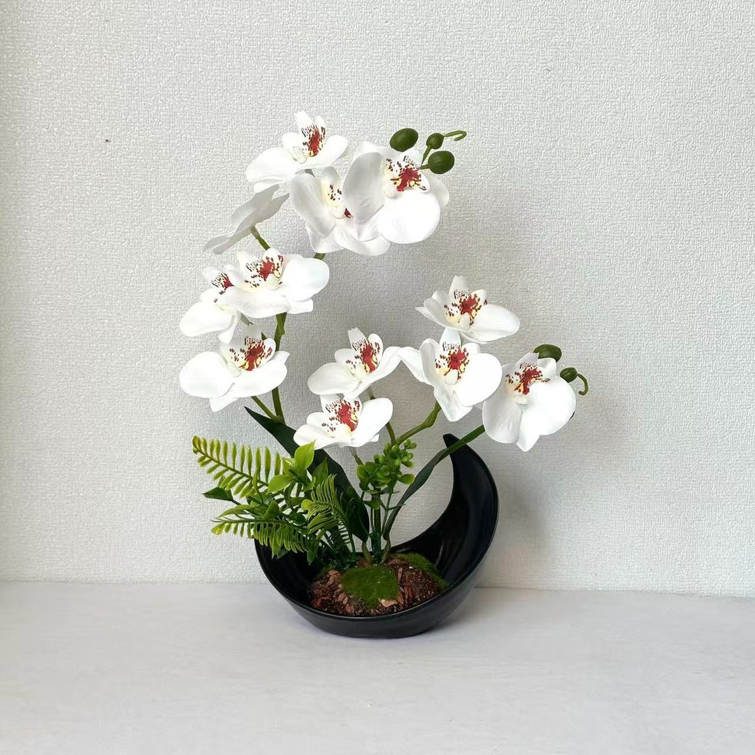Lifelike Orchid Flower Display