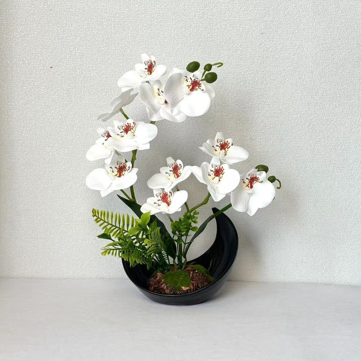 Lifelike Orchid Flower Display