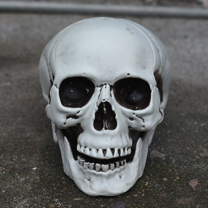 Decorative Skull Phone Stand Kalsten 1790561033