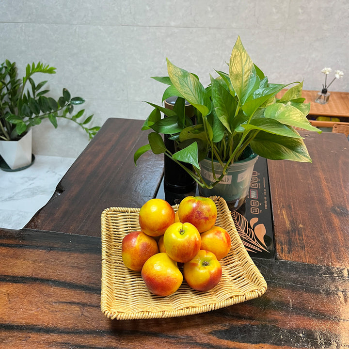 Handcrafted Woven Serving Tray Kalsten