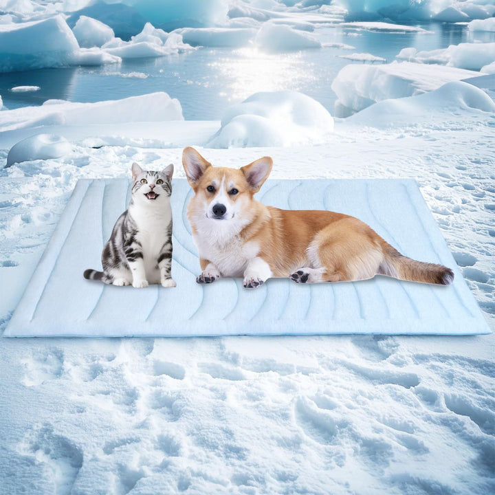 Tier Snuggle Blanket Kalsten