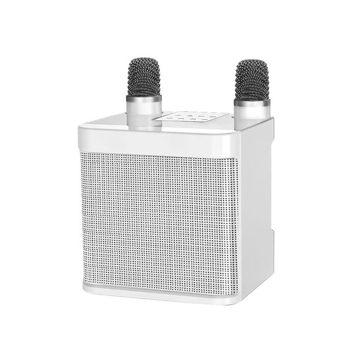 Dual Microphone Karaoke Speaker Kalsten