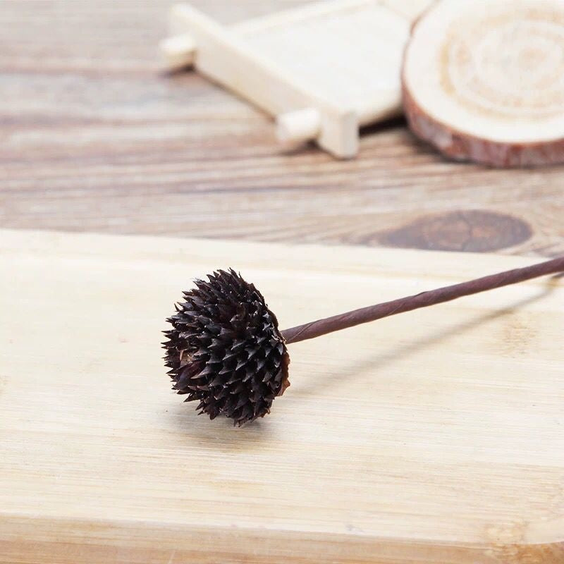 Natural Cotton Flower Stem