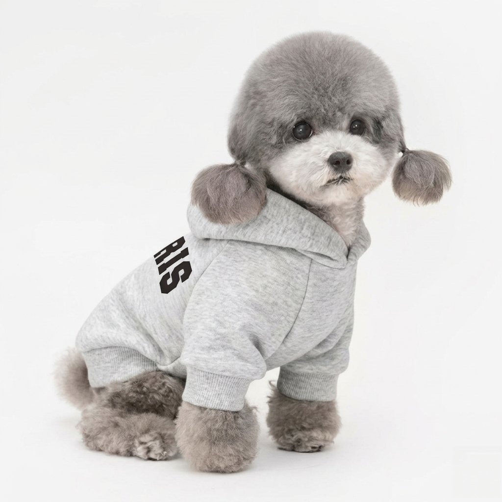 Small Dog Hooded Cotton Fleece Pullover with Collegiate PARIS Print