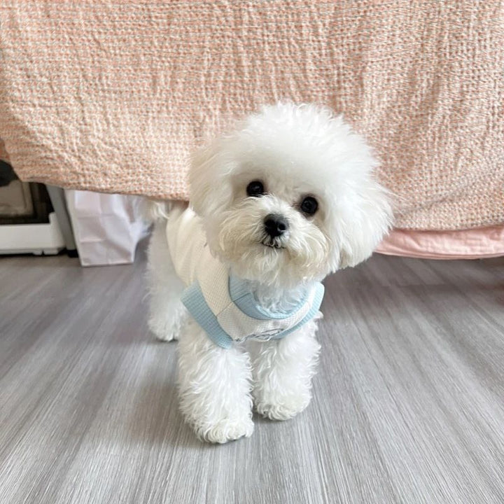 Embroidered Waffle-Knit Pet Harness Vest with Back D-Ring