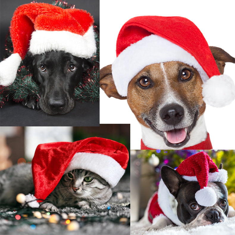 Santa hat for dogs