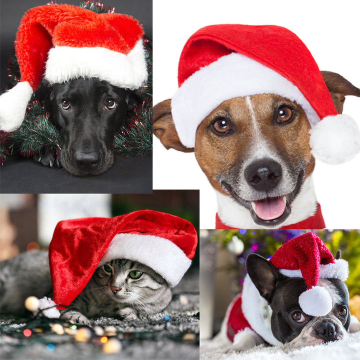 Santa hat for dogs