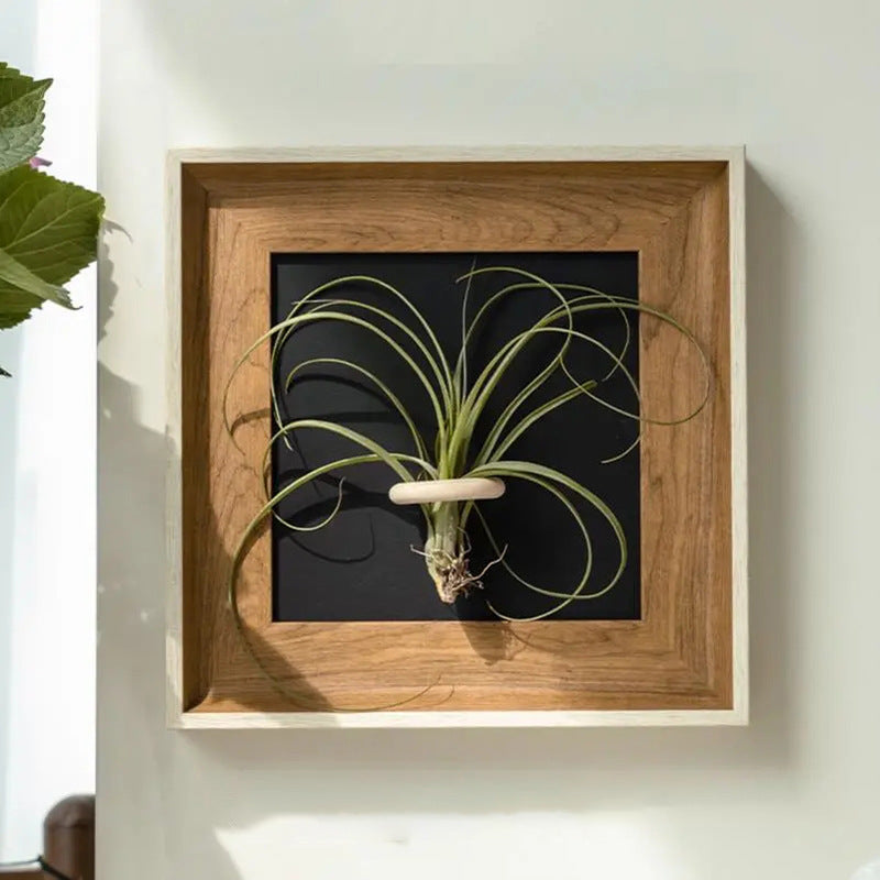 Artistic Plant Display Frame for Home Decor