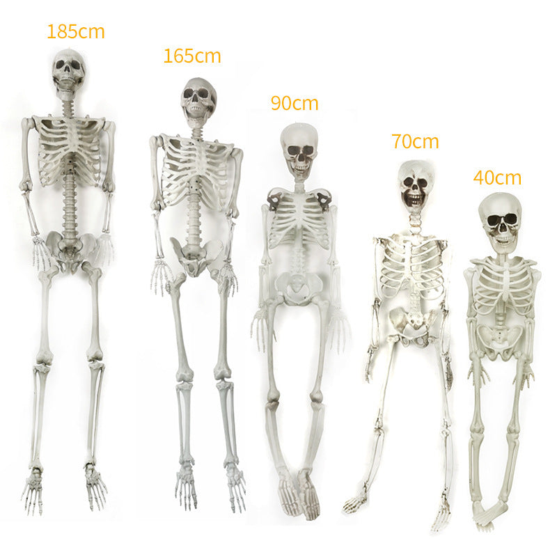 Realistic Decorative Skeleton Figures Kalsten