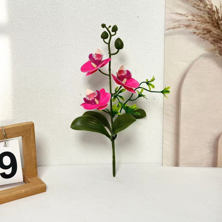 Elegant Orchids Floral Arrangement