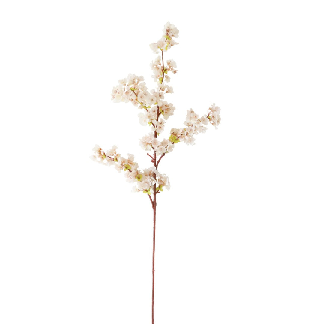 Elegant Botanical Decoration