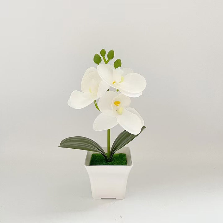 Realistic Artificial Orchid in Decorative Plant Pot for Decor