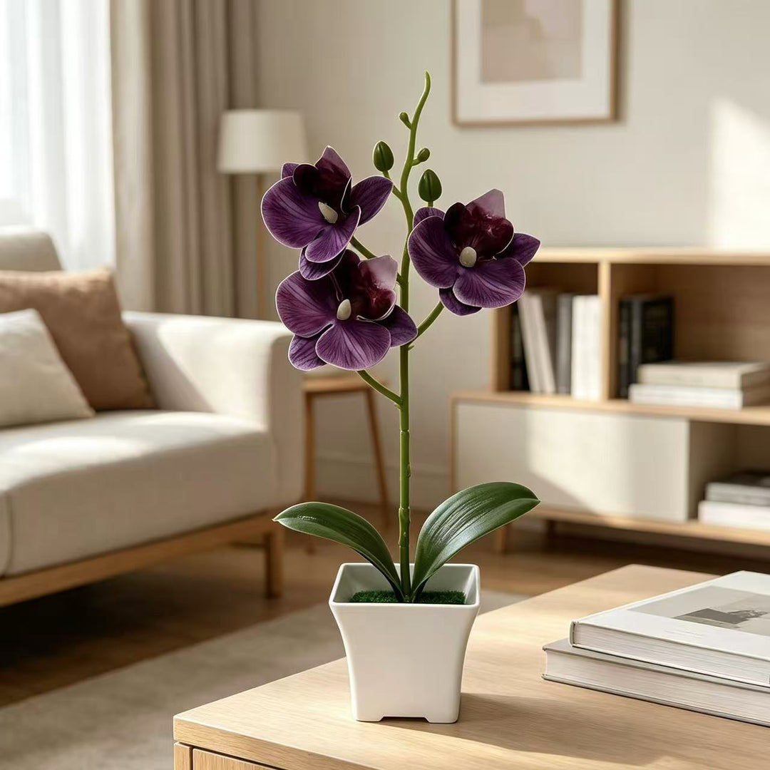 Artificial Orchid Arrangement for Home and Office Decor