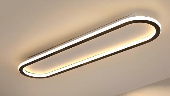 Modern Oval LED Ceiling Fixture