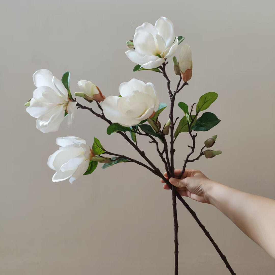 Realistic Magnolia Blossom Stem