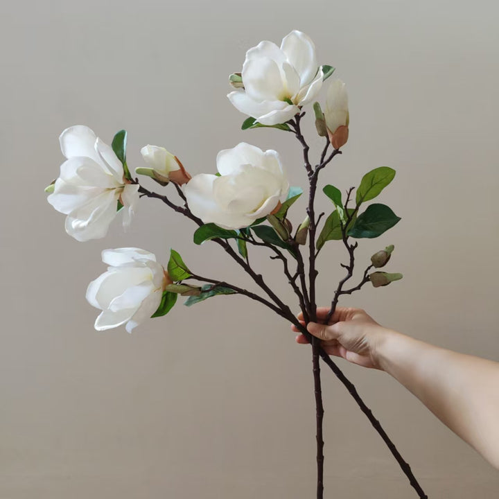 Realistic Magnolia Blossom Stem
