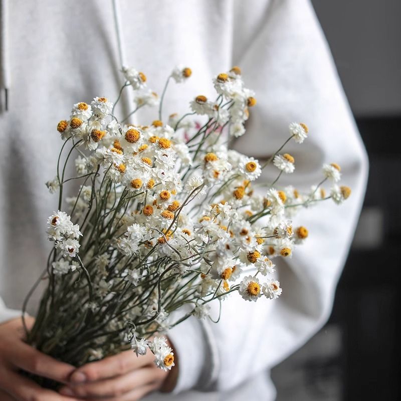 Dried Flower Bouquet Arrangement