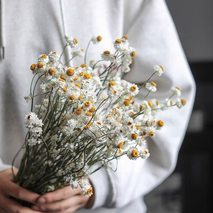 Dried Flower Bouquet Arrangement