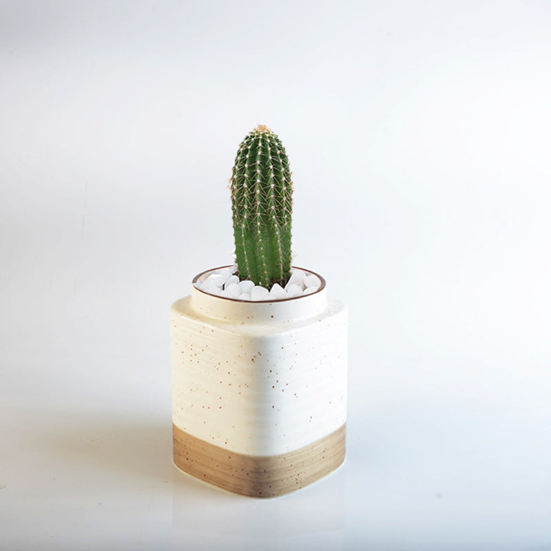 Decorative ceramic container Kalsten