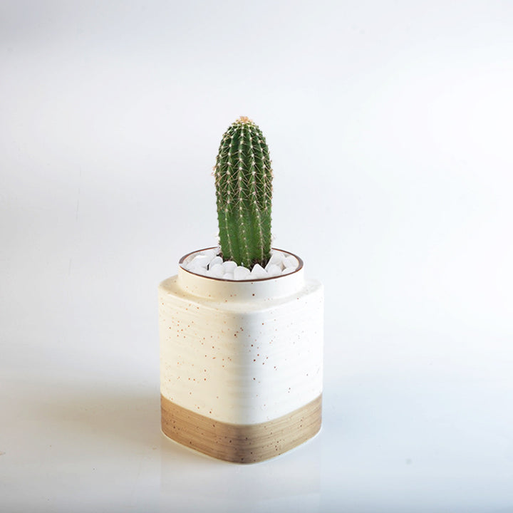 Decorative ceramic container Kalsten