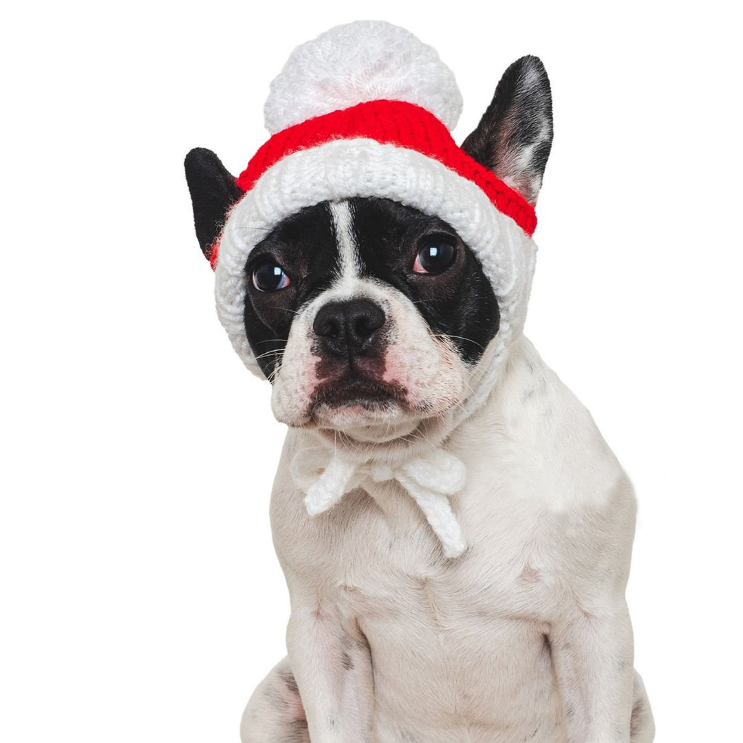 Funny Christmas hat for pets