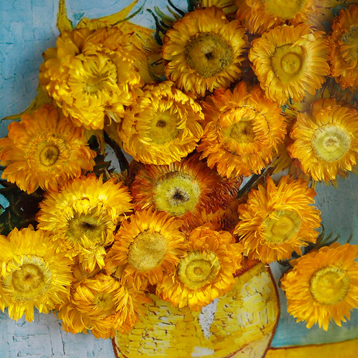 Decorative Floral Art Display for Stylish Interiors