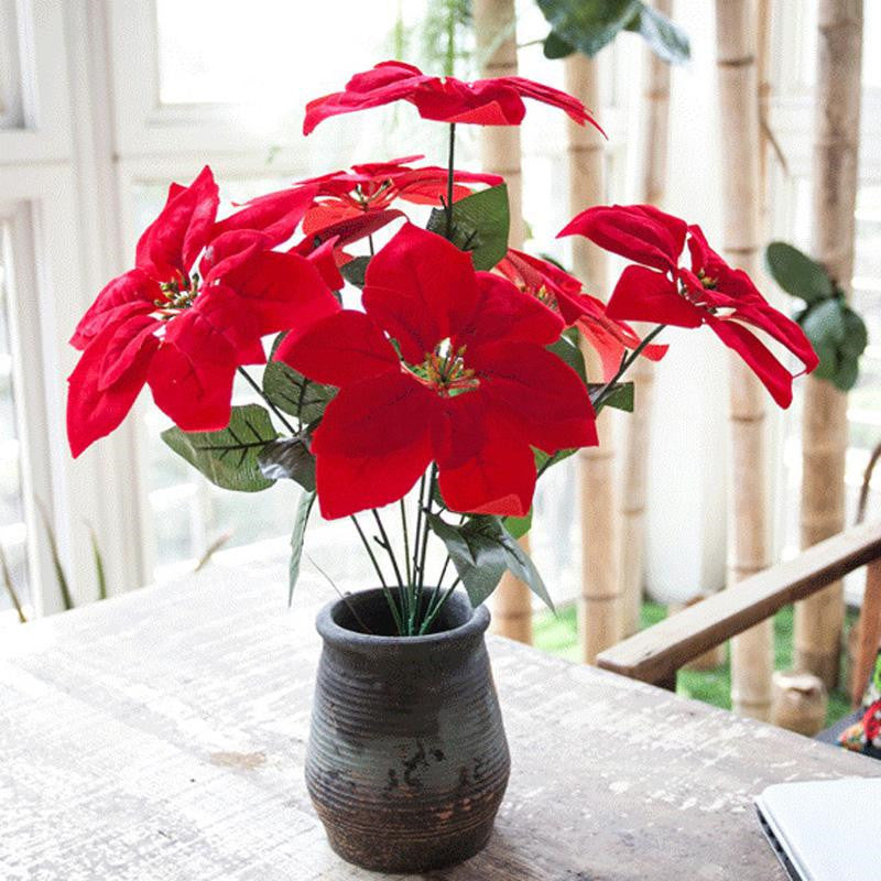 Decorative Poinsettia Plant Arrangement Kalsten
