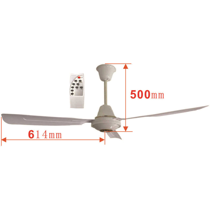 Women Ceiling Fan Kalsten