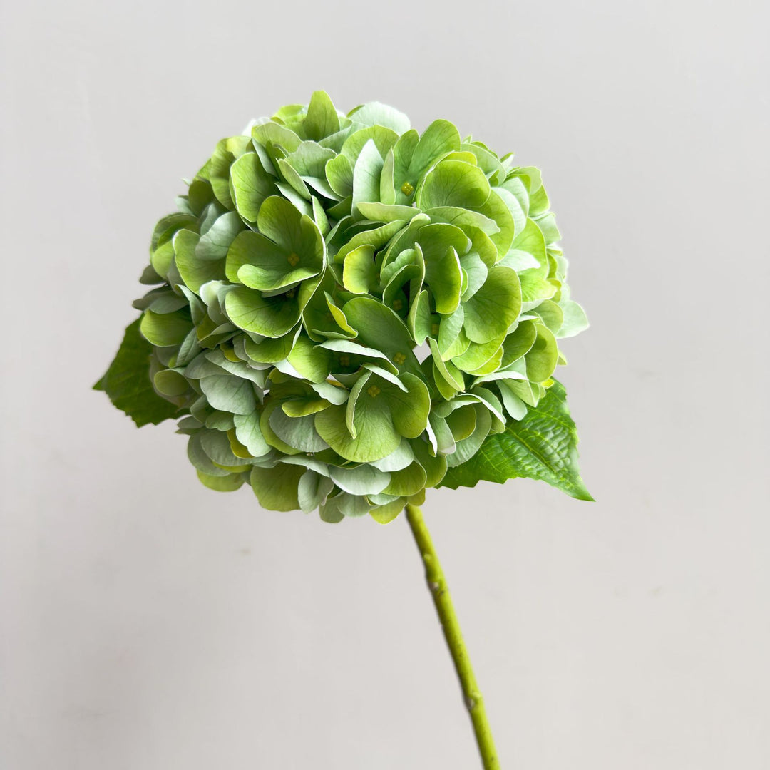 Lifelike Hydrangea Stem