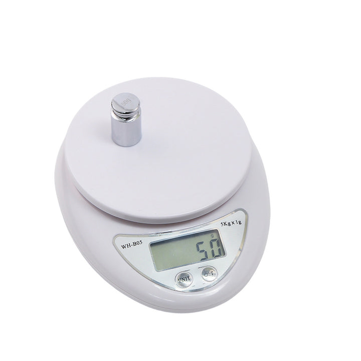 Digital Precision Weighing Scale