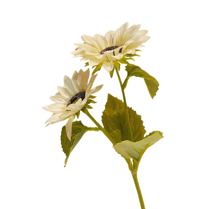 Decorative Sunflower Kalsten